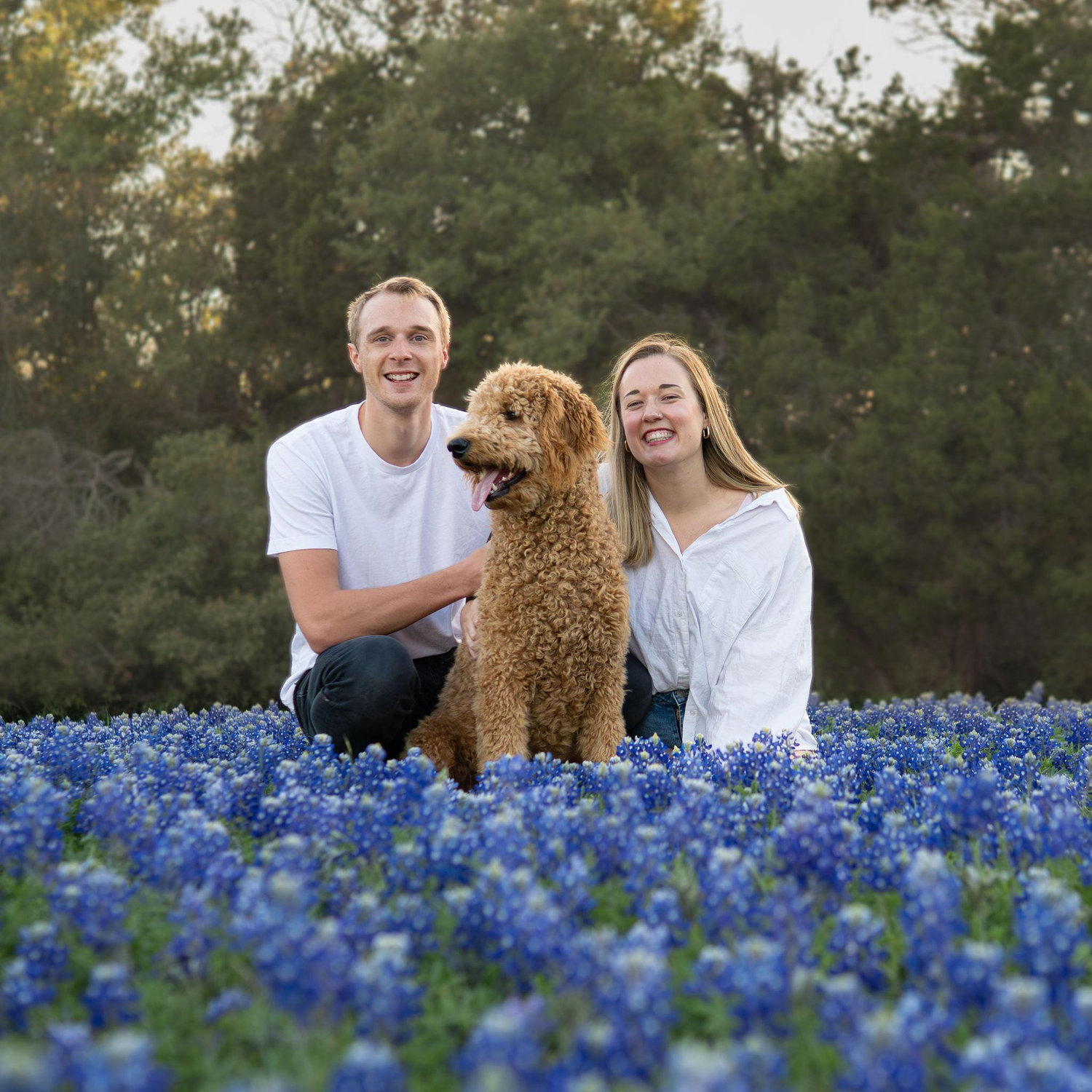 Blue Bonnet Season in Texas!