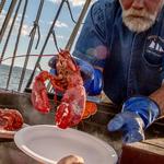Mystic Whaler Cruises