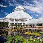 Botanical Garden