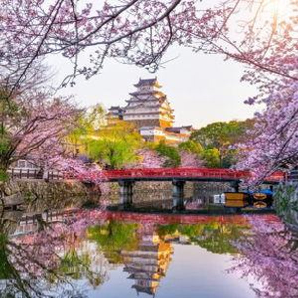 Our Japan Honeymoon