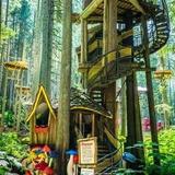 The Enchanted Forest