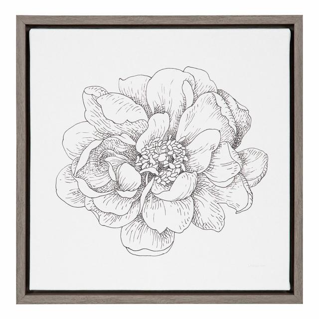 16"X16" Pen and Ink Florals Iv By Danhui Nai Graywash - Amanti Art