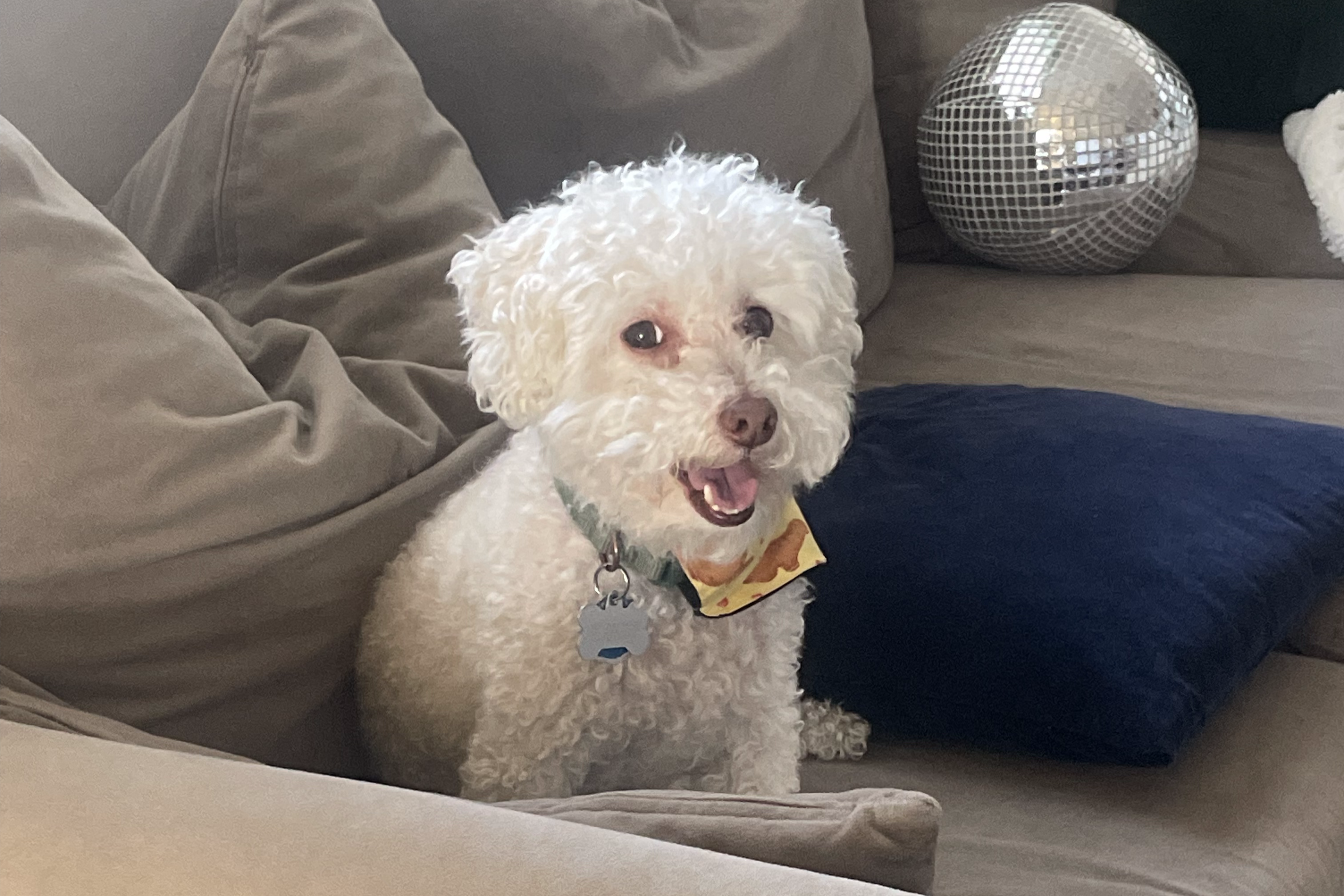 The Wedding Website of Kimberly Foster and Harrison Foster