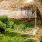 Upper Calf Creek Falls