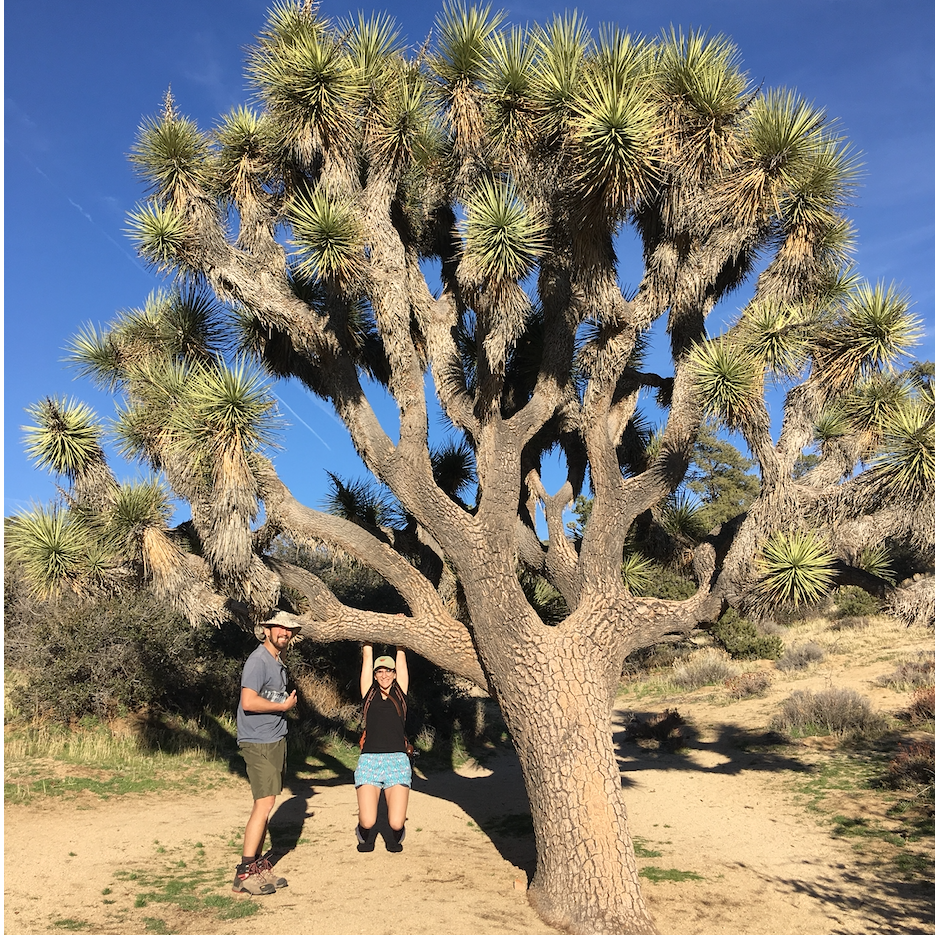 Joshua Tree National Park, 2018