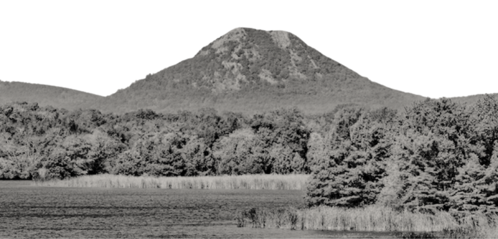 The Wedding Website of Erin Lawellin and Cotter Collins