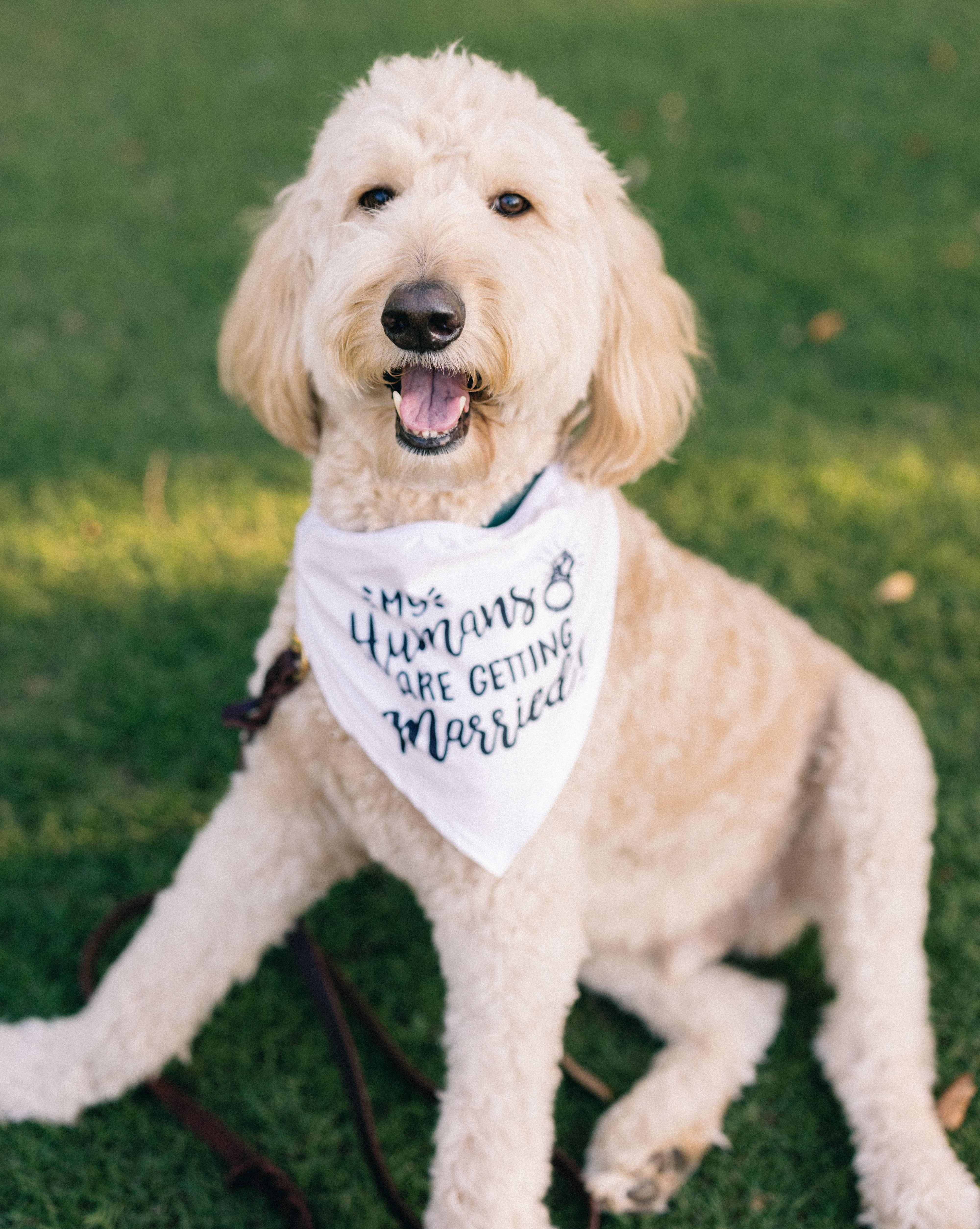 The Wedding Website of Gabriella Aimée Huddleston and Mark Woodman Catney