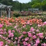 Norfolk Botanical Garden