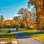 Duke Island Park