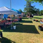 Kronenwetter Farmers Market