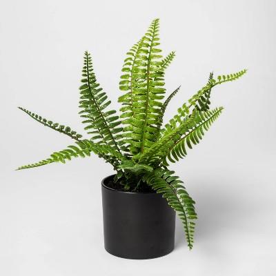12&#34; x 11&#34; Artificial Fern Arrangement in Pot Green/Black - Project 62&#8482;