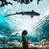 Ripley's Aquarium of Canada