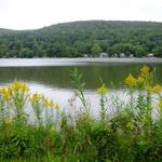 Pinecliff Lake Community Club