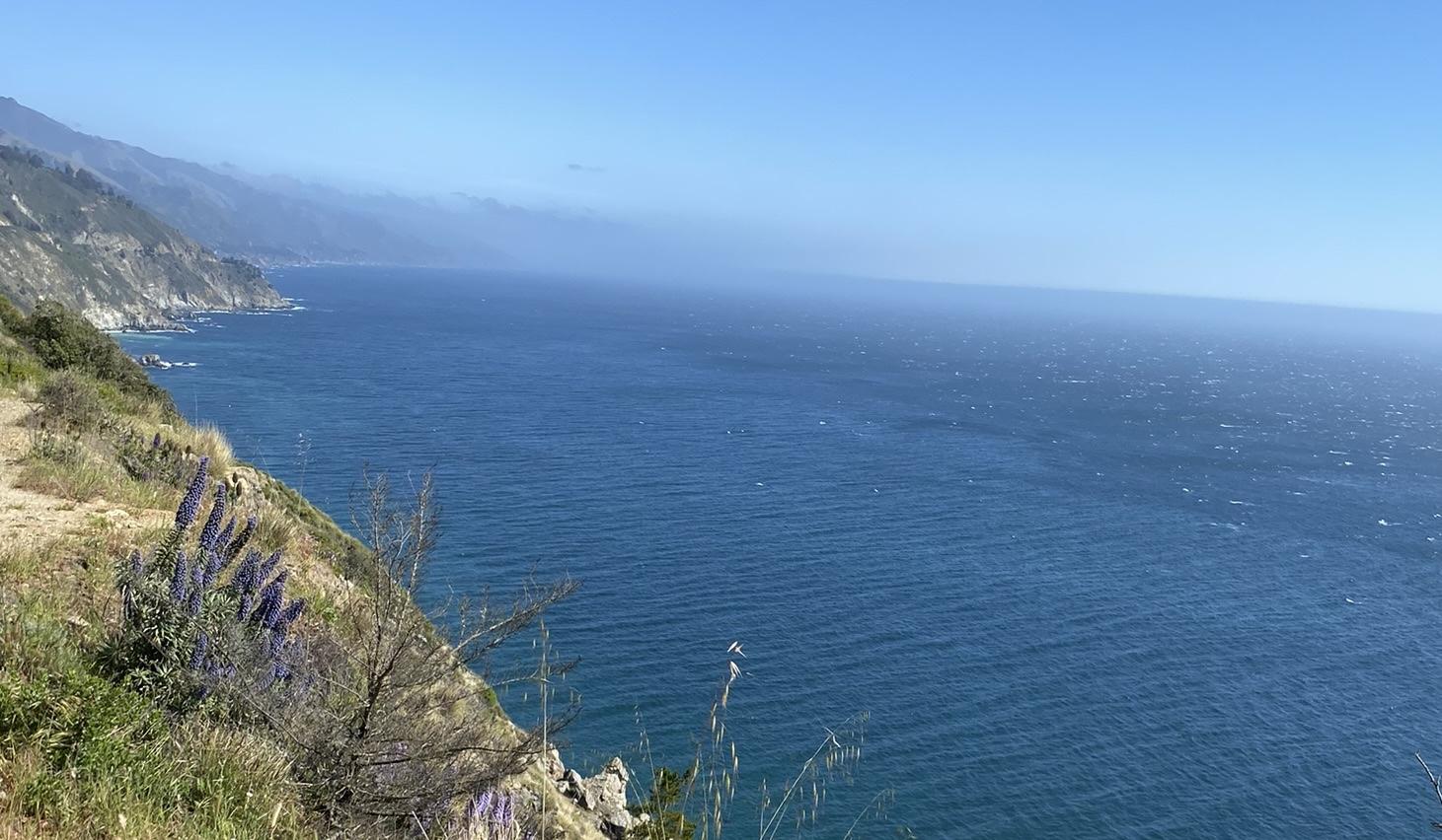 The Wedding Website of Ali Shrader and Joshua Hornig