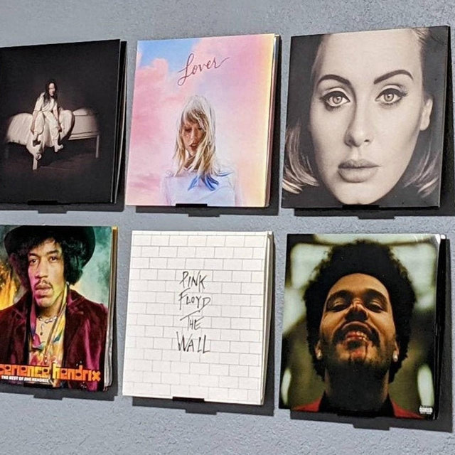 Vinyl Record Shelf | Album Wall Mount Display