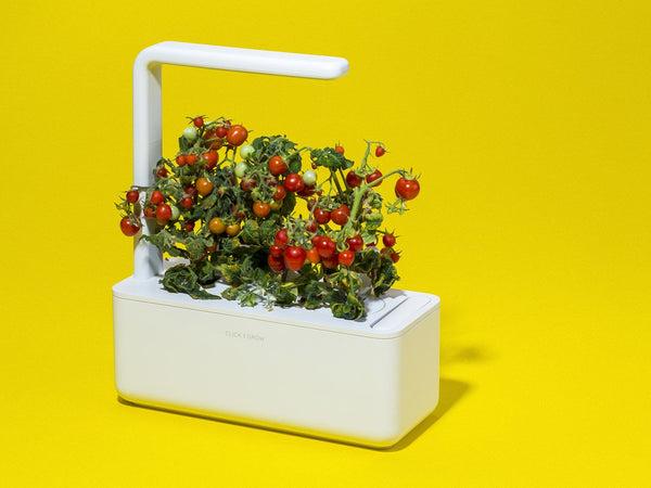 The Smart Garden 3- color white