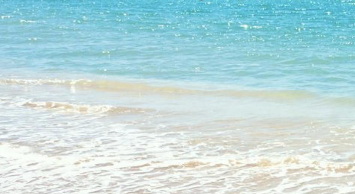 Footer image