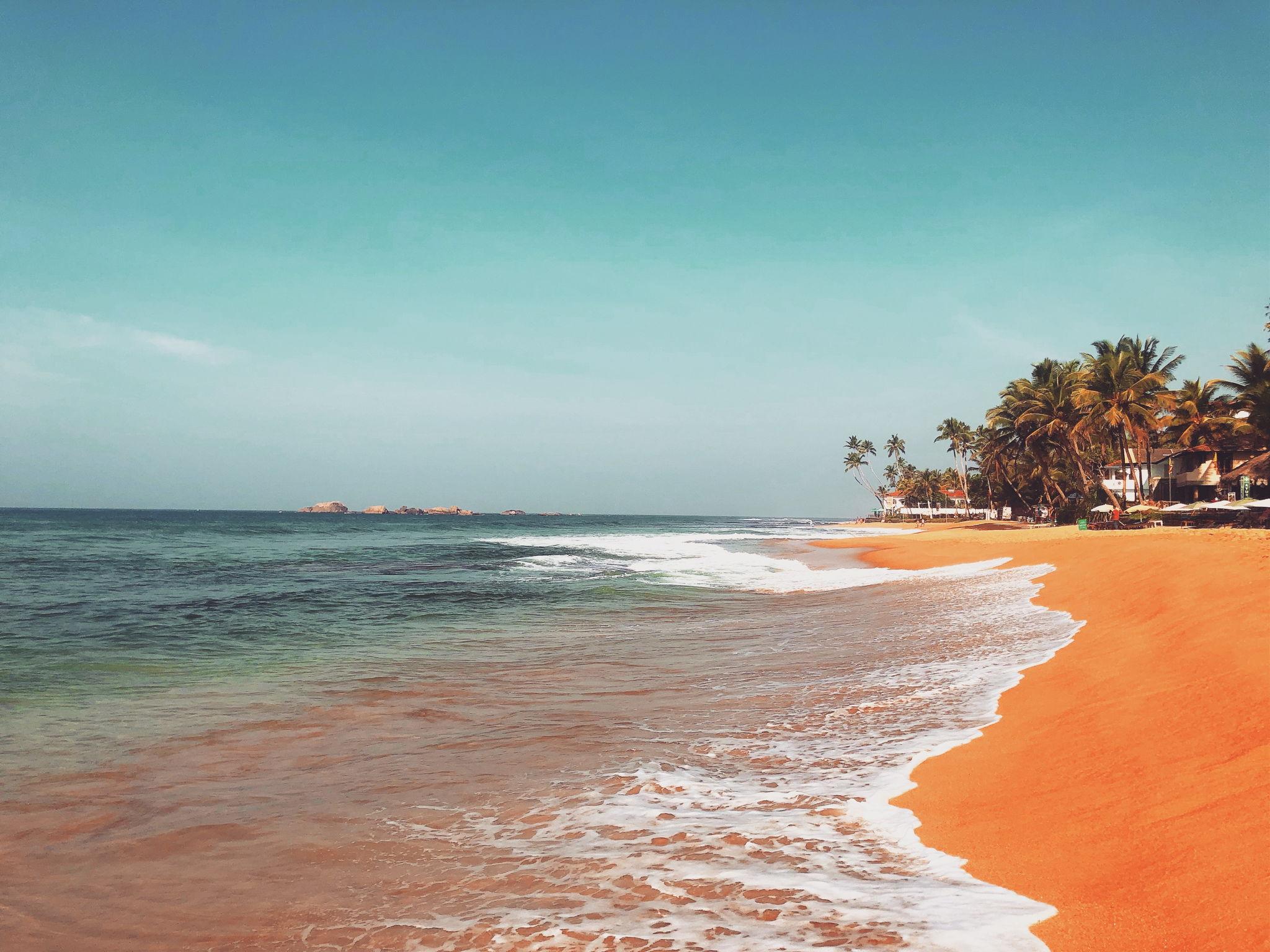 The Wedding Website of Rashmika Gunasekera and Vishnu Parinathan