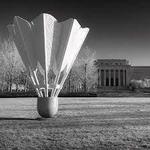 The Nelson-Atkins Museum of Art