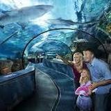 Ripley's Aquarium of Myrtle Beach