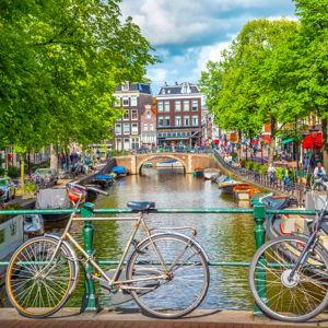 Bike Rental for 2