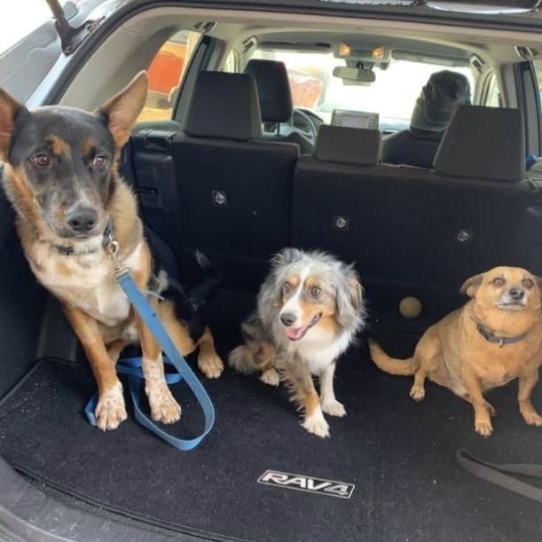 our two boys and Frank