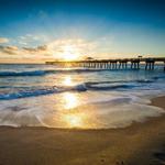 Jupiter Off-Leash Dog Beach/ Juno Beach