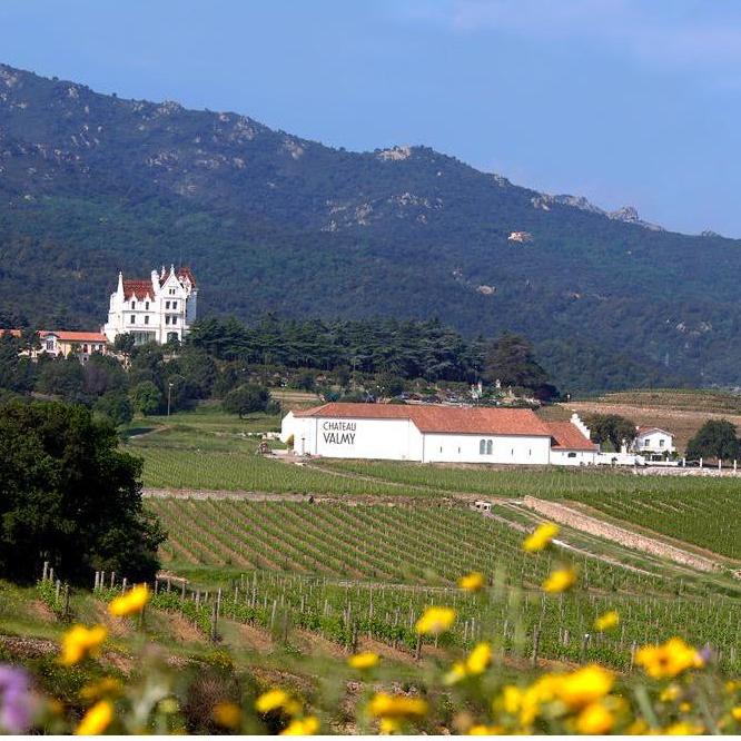 The Château and surrounding vineyards