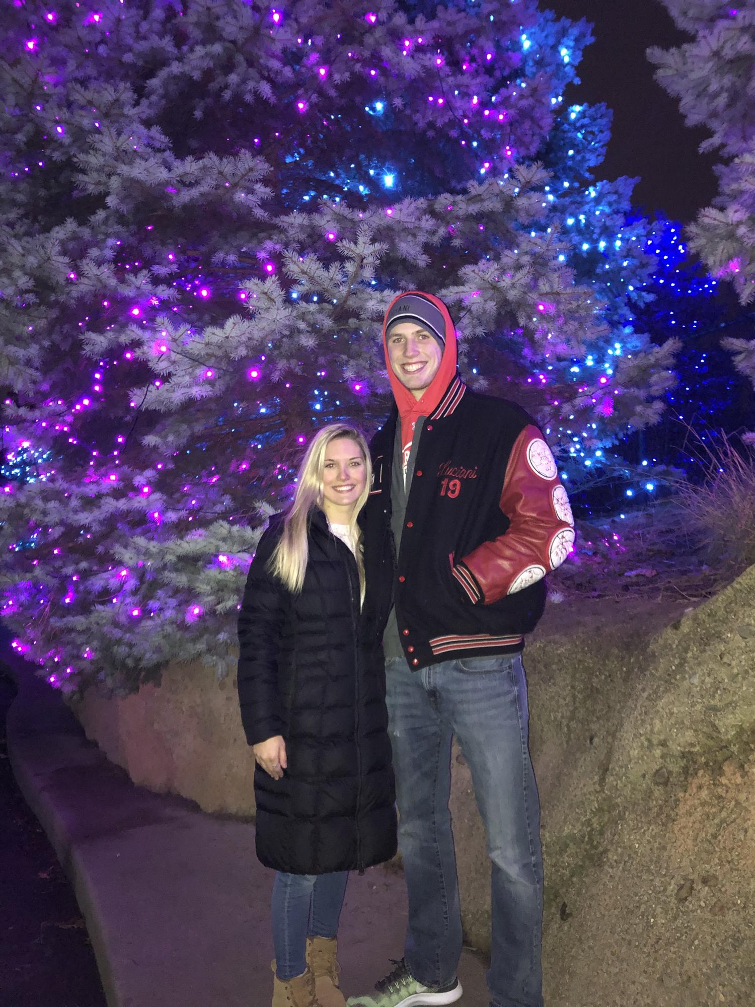 Detroit zoo lights