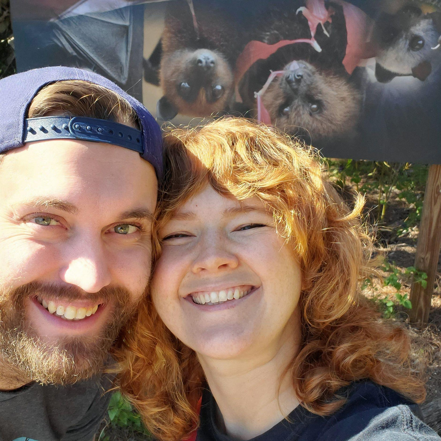 Bat Fest! The best day of the year.