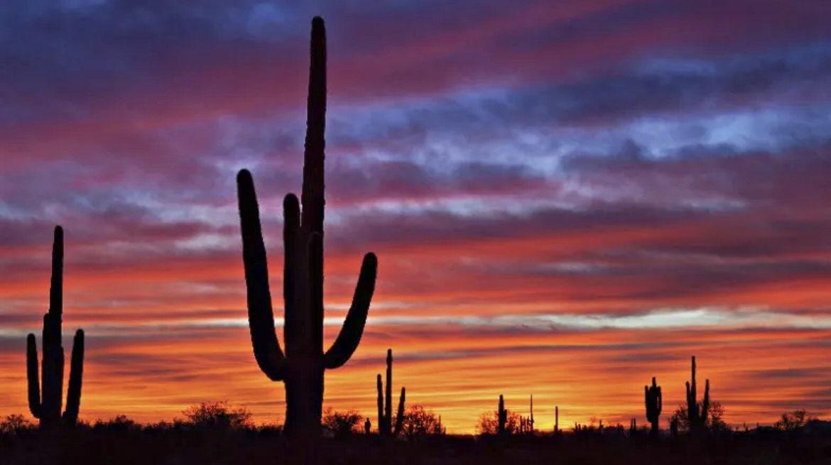 The Wedding Website of Vanessa Justeen Jehling and Shawn Michael Sanchez