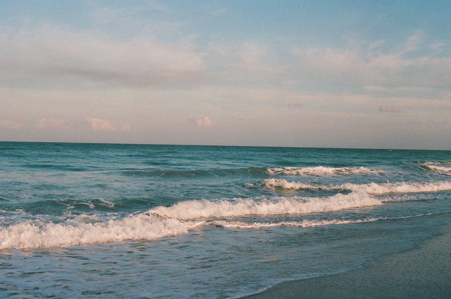 The Wedding Website of Anna Meyer and Jamie Woods