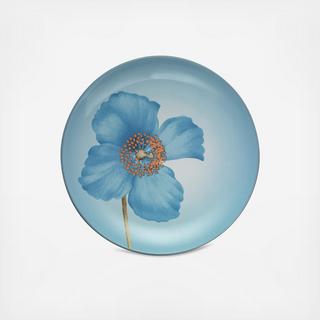 Colorwave Floral Accent Plate