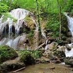 Falls Ridge Preserve