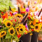 Moscow Farmers Market