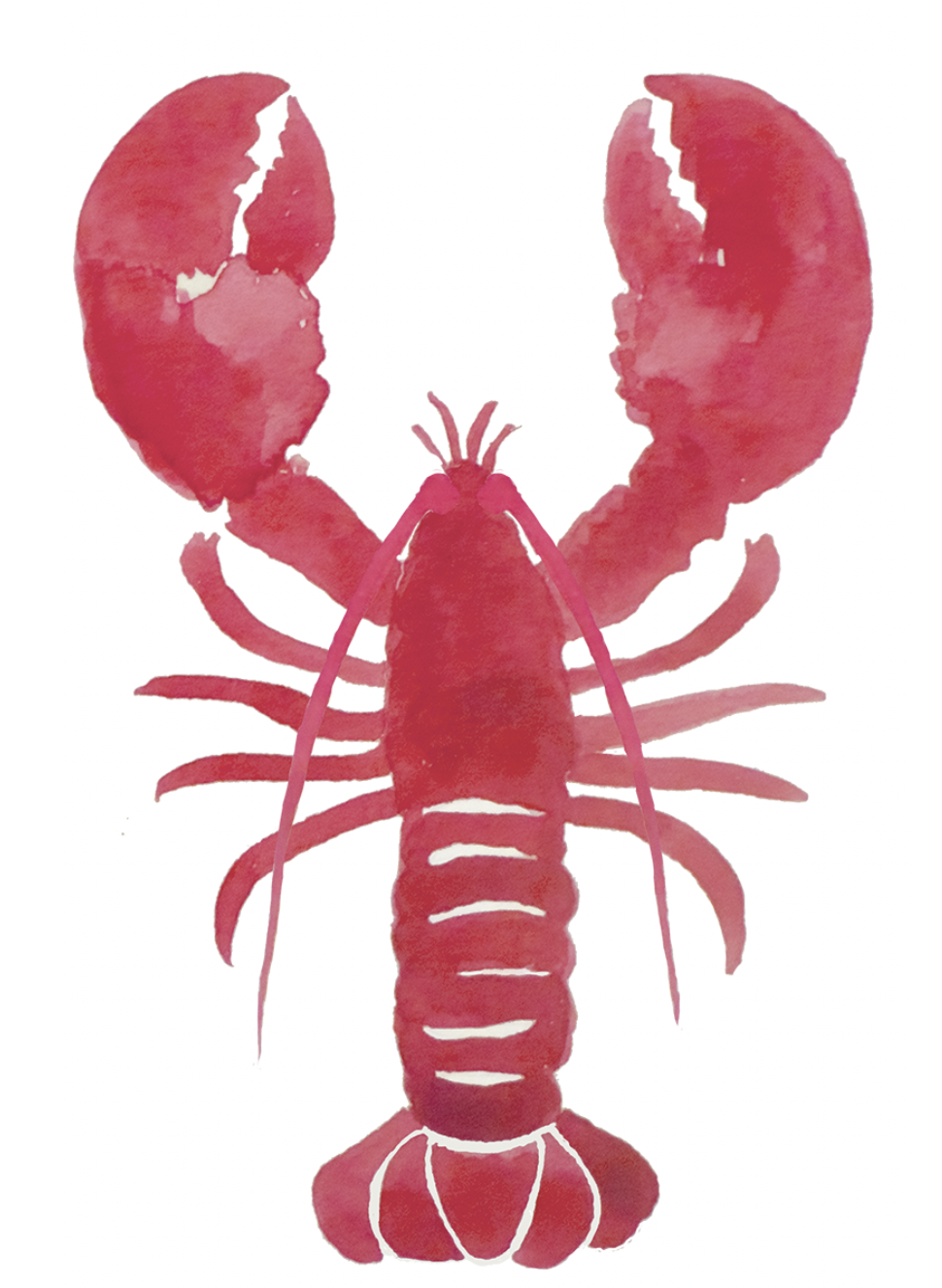 The Wedding Website of Tyler Sherwin and Dylan Schmalz