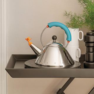 Michael Graves Stainless Steel Tea Kettle