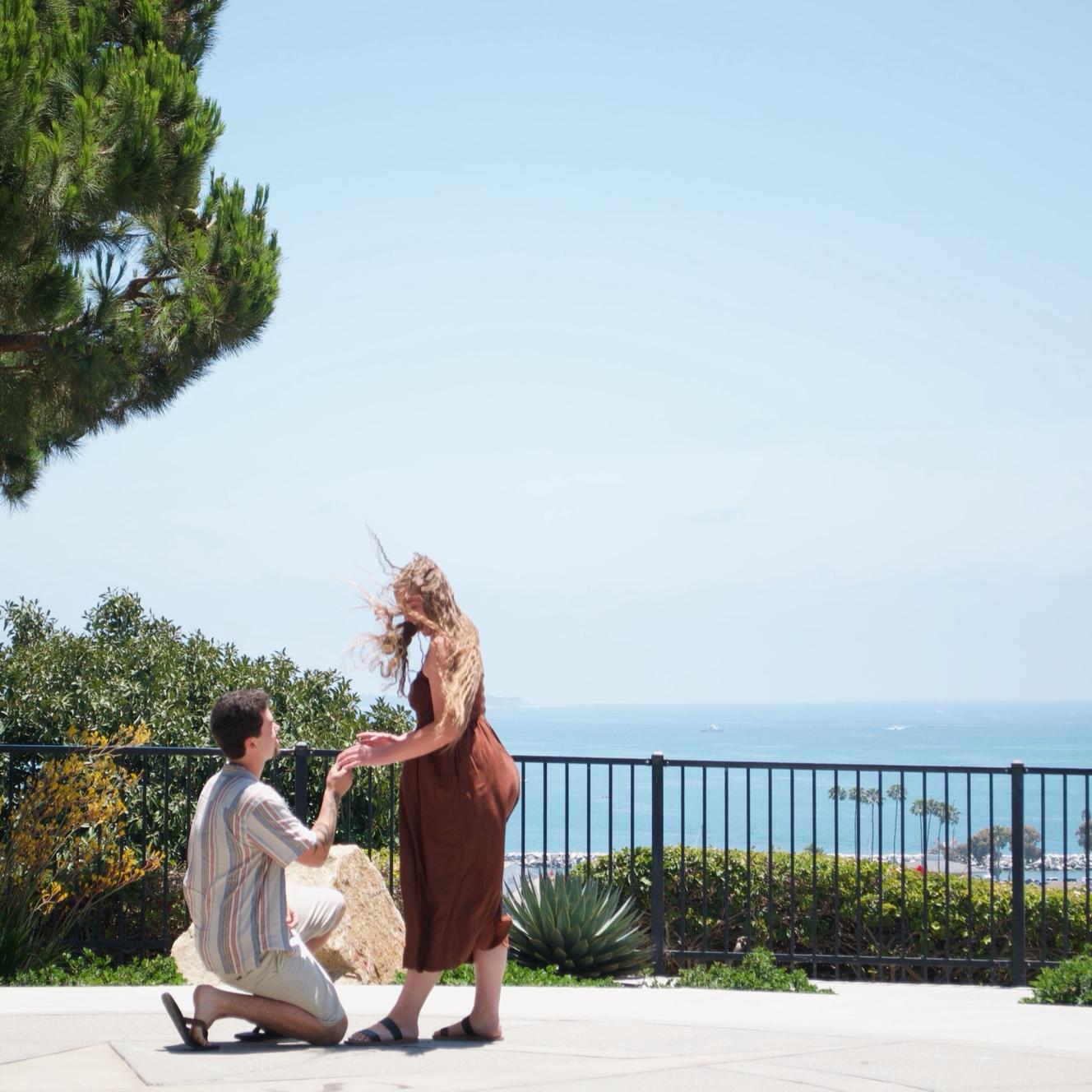 The Proposal~ 6/28/25