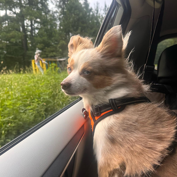 Our Jasper Fund