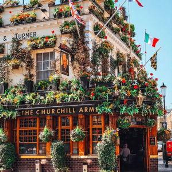 Drink at the pub