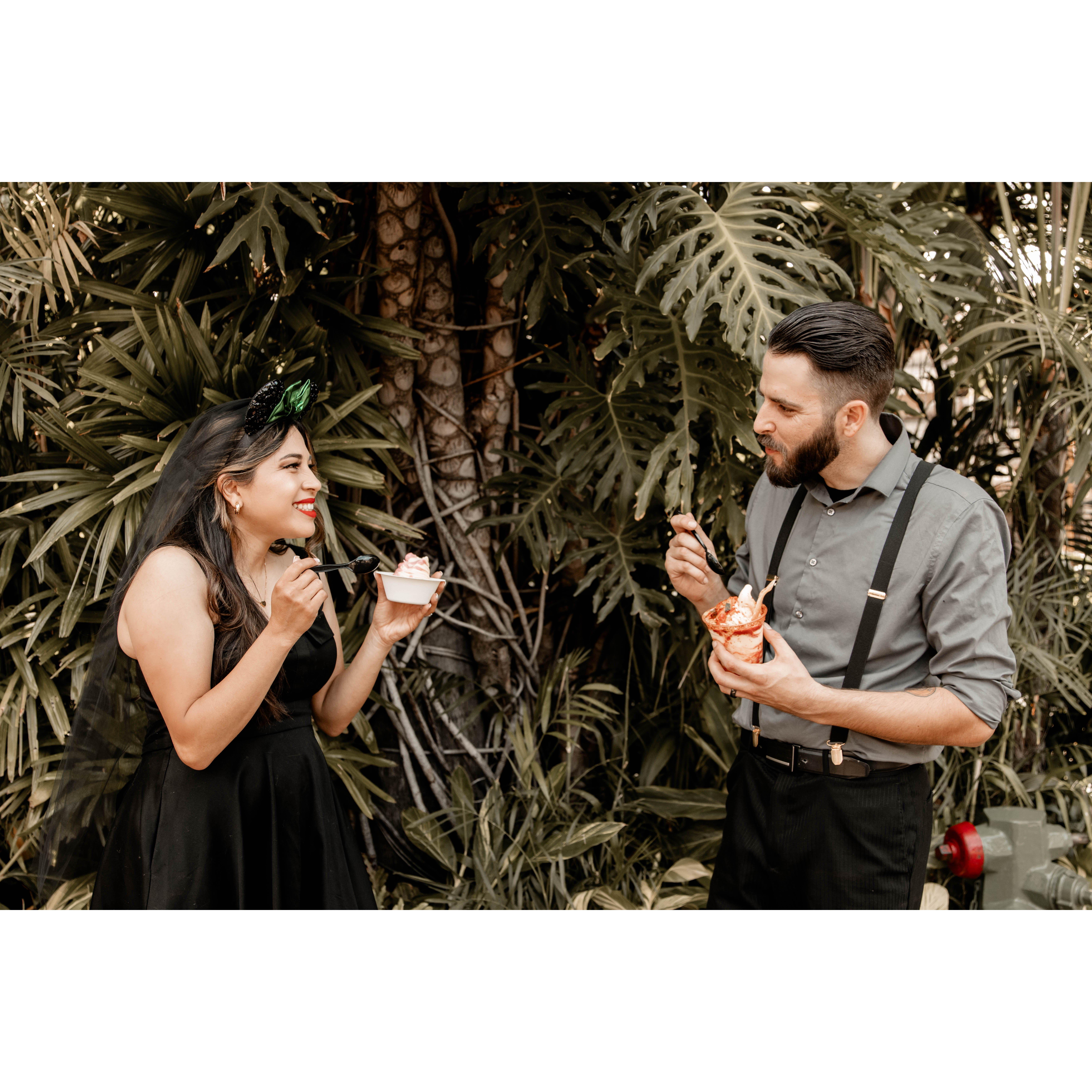 Disneyland Fairytale Engagement Photo shoot