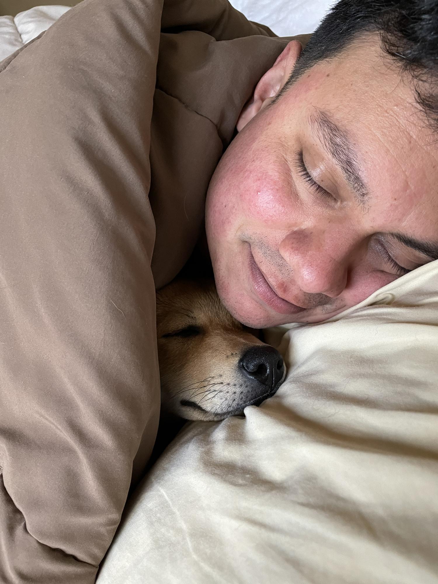 Ellie getting her beauty sleep!