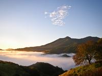 Mount Tamalpais