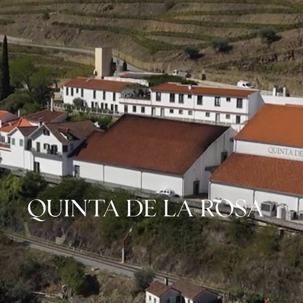 Douro Valley Vineyard Tour with Lunch