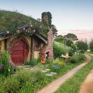 Hobbiton Tour - Lord of the Rings