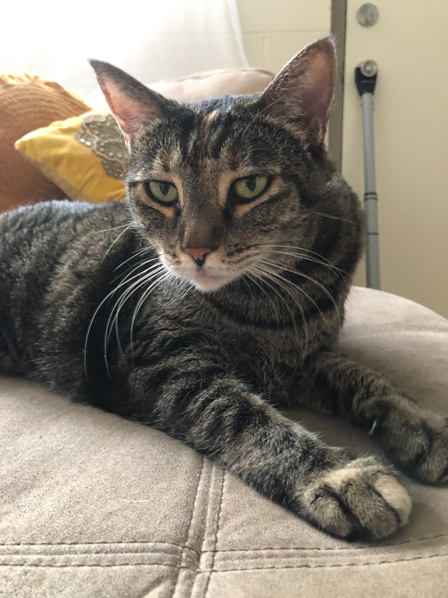 Chloe