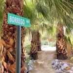 Borrego Springs Desert Garden