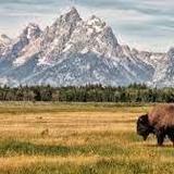 Grand Teton National Park