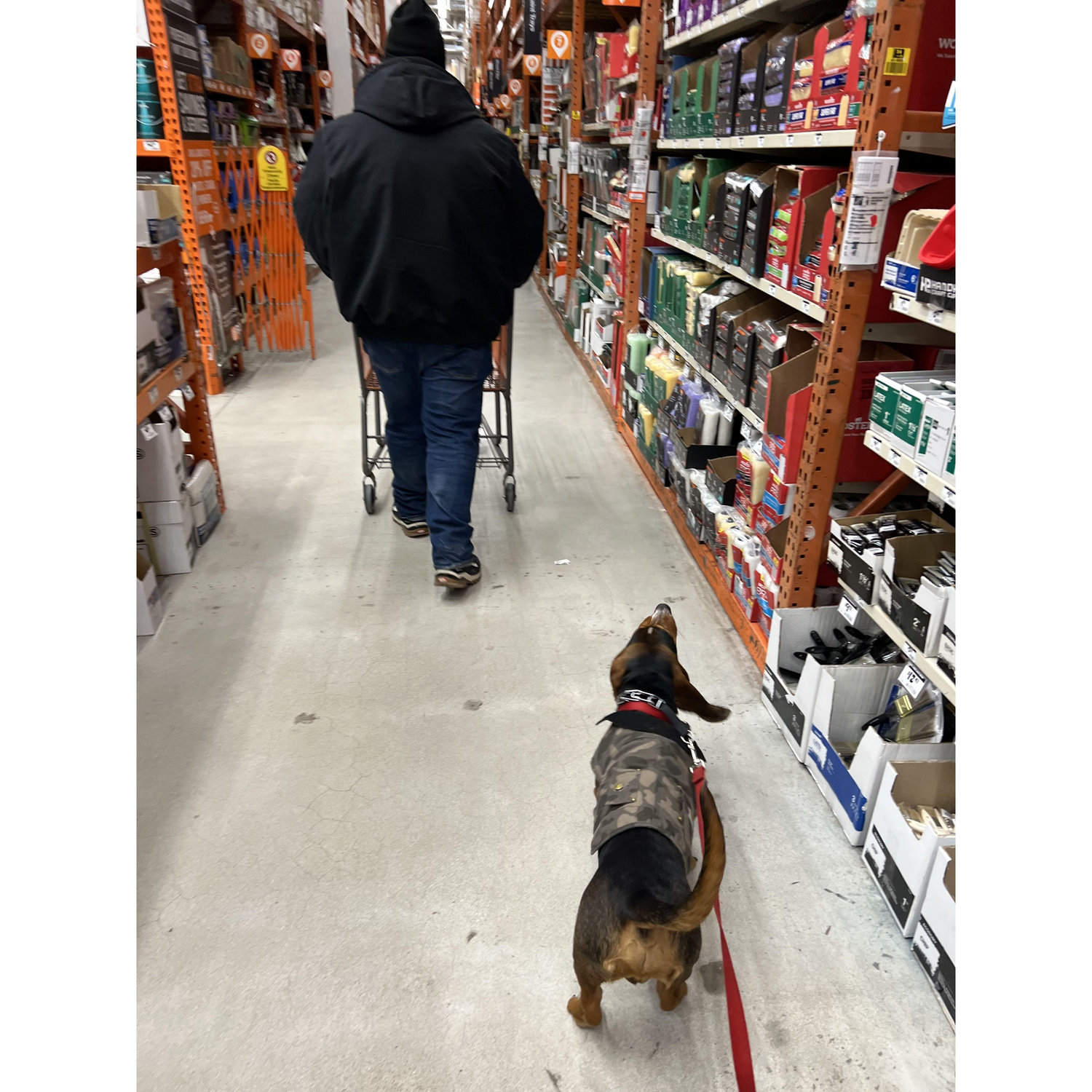 We love Home Depot