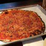 New Haven Pizza Tour